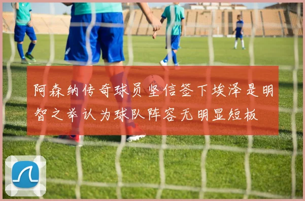 阿森纳传奇球员坚信签下埃泽是明智之举认为球队阵容无明显短板