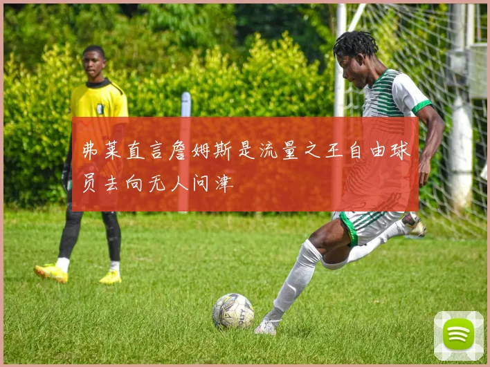 弗莱直言詹姆斯是流量之王自由球员去向无人问津
